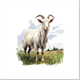 White Goat Posters and Art